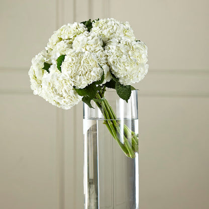 White Hydrangea Hand-Tied Bouquet – MARILYN'S FLOWERS & GIFTS, Camden TN