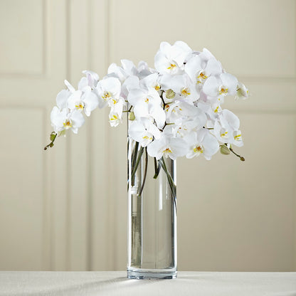 White Phalaenopsis Bouquet – MARILYN'S FLOWERS & GIFTS, Camden TN
