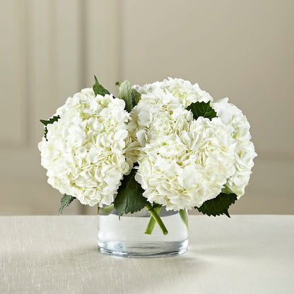 White Hydrangea Bouquet – MARILYN'S FLOWERS & GIFTS, Camden TN